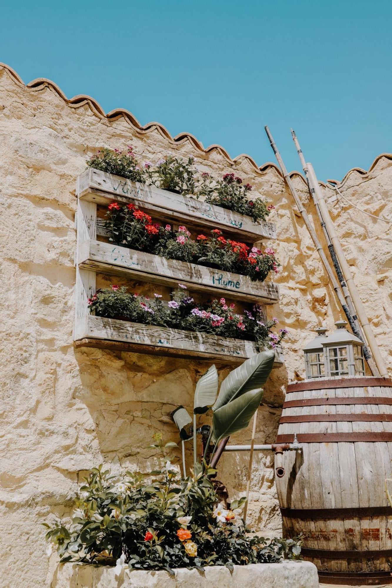 Balcone Mediterraneo - Donnalucata & Marina Di Ragusa Dış mekan fotoğraf